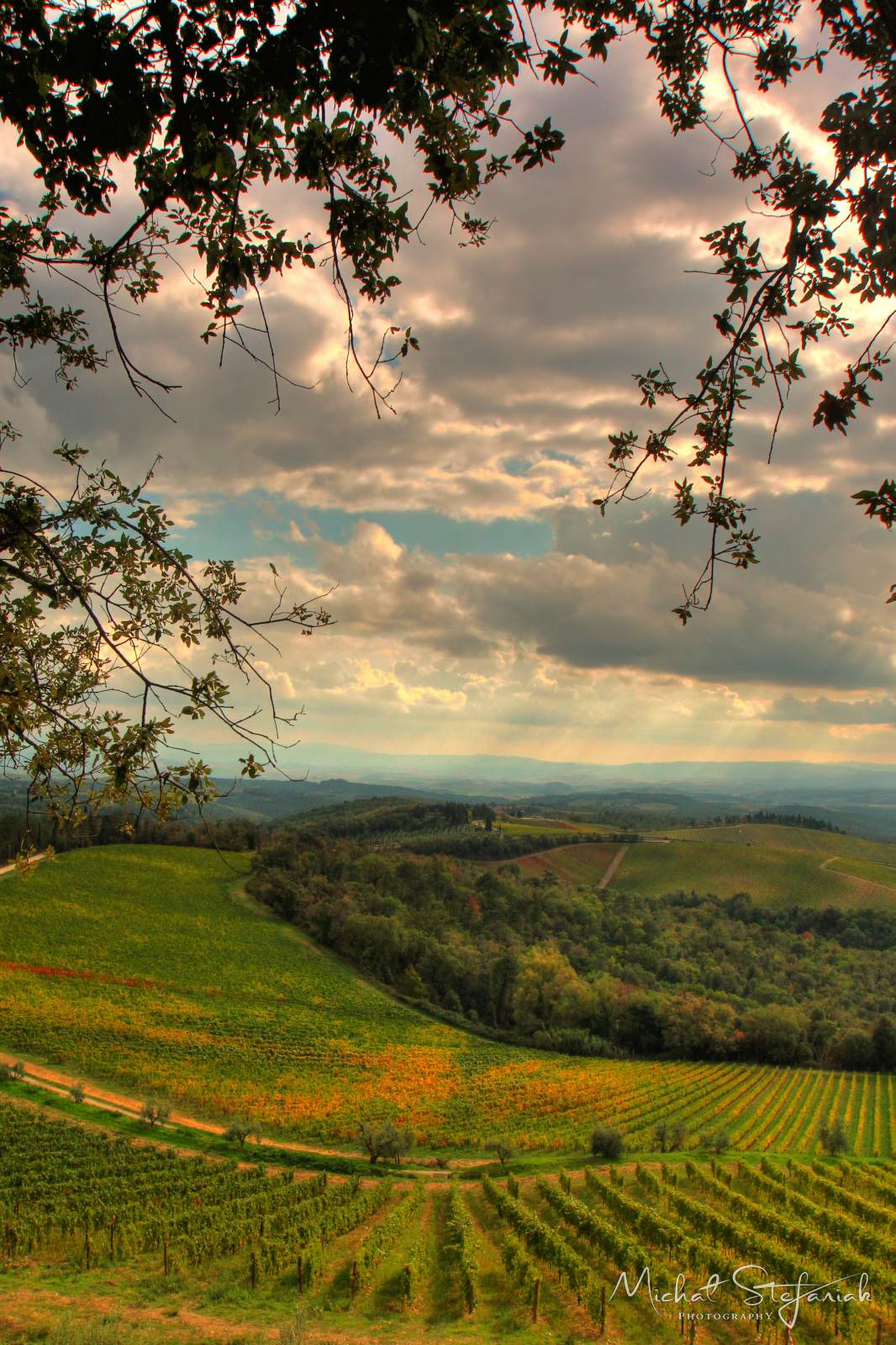 IMG 3858 IMG 3832 3 4Enhancer